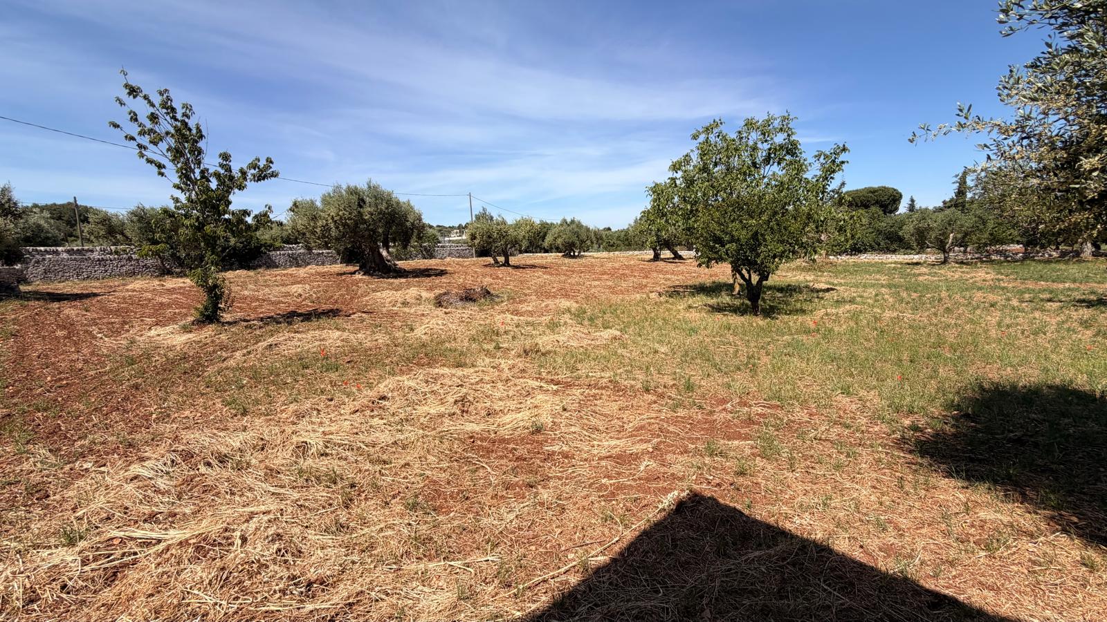Piccola Villetta In Zona Abitata, 2 Vani e Acc, Trullo, Deposito.